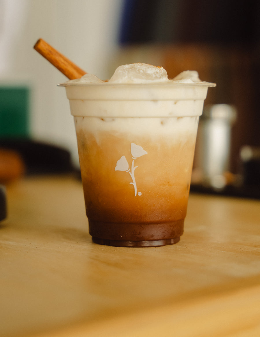 Mocha GT